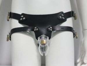 cb6000-clear-chastity-cage-and-belt-1046-p