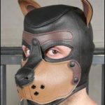 k9-puppy-hood-ht236t-tn