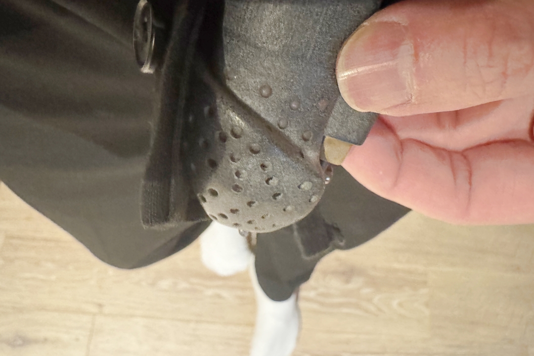 リアル射精管理 49日目